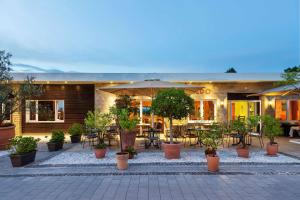 une terrasse avec des plantes, des tables et un parasol dans l'établissement Best Western Hotel Mainz, à Mayence