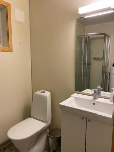 a bathroom with a toilet and a sink and a mirror at IMA Tursenter in Oteren