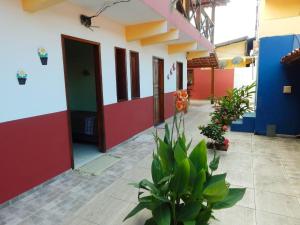 Pousada Barra Sol في بارا غراندي: ممر لمبنى مدرسة مع أبواب ونباتات ملونة