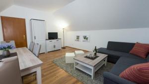 TV a/nebo společenská místnost v ubytování Apartmány Divoký Anděl