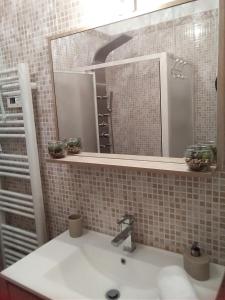 a bathroom with a sink and a mirror at Le Petit Patio in Aigues-Mortes