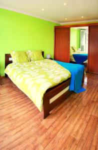 ein Schlafzimmer mit einem großen Bett und einer grünen Wand in der Unterkunft The best CASTLE VIEW-bus station, parking, center in Český Krumlov