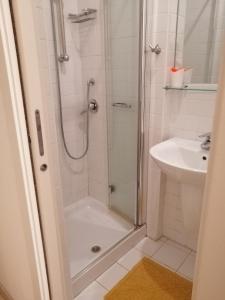 La salle de bains est pourvue d'une douche et d'un lavabo. dans l'établissement Rizzi, elegante monolocale in Centro Storico, à Venise