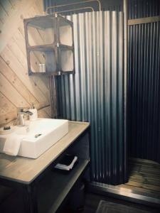 a bathroom with a sink and a shower at Cottage tout confort au milieu des chevaux in Saint-Fargeau
