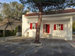 una casa blanca con un árbol y una sombrilla en Casa Vacanze "Lo Vita" Appartamento "Sara", en Galatina