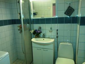 Kylpyhuone majoituspaikassa Koskikatu Apartment