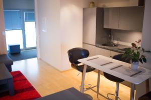 Kuchyň nebo kuchyňský kout v ubytování City center apartment Aida