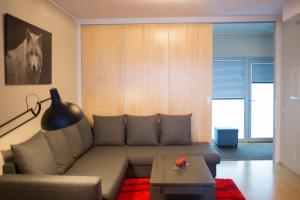 Posezení v ubytování City center apartment Aida