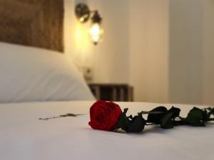 czerwona róża siedząca na łóżku w obiekcie Granaxperience Apartamentos La Maleta w Grenadzie
