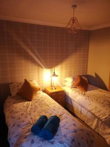 a bedroom with two beds with blue pillows on it at 2 Raasay Court in Portree