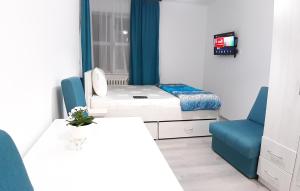 TV i/ili multimedijalni sistem u objektu Sarajevska Studio & Apartment
