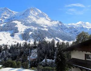 Gallery image of Chalet Silky in Adelboden
