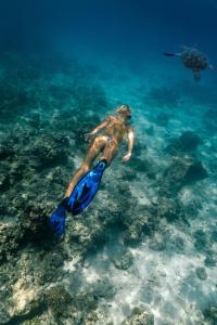 a person swimming in the ocean with aqualung at NusaBay Menjangan in Banyuwedang