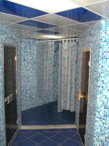 リヴィウにあるMolodizhniy Hostelの青と白のタイル張りの壁のバスルーム(シャワー付)