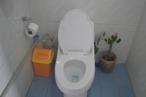 a bathroom with a toilet and a potted plant at Banaue Evergreen Hostel and Restaurant in Banaue