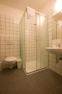 a bathroom with a shower and a toilet and a sink at Hostel U Zlatého kohouta in Kroměříž