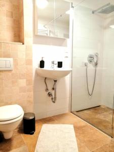 een badkamer met een toilet en een wastafel bij REMA Apartments Lustkandlgasse in Wenen