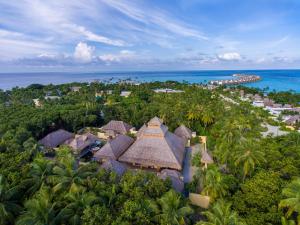 ラア環礁にあるEmerald Maldives Resort & Spa-Deluxe All Inclusiveの木々と海の空中を望むリゾートです。