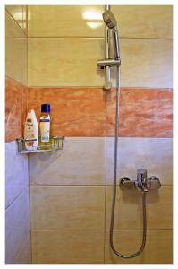 a bathroom with a shower with a shower head at Apartments Dirsi in Trogir