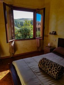 Furtei的住宿－Lune d'Africa，一间卧室设有一张床和一个大窗户