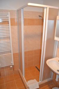 un bagno con doccia e lavandino di Hotel Bohemians a Praga