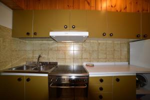 Il cirmolo في فيغو دي فاسا: مطبخ مع مغسلة وموقد