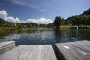 a view of a lake from a wooden dock at Der Dorfwirt in Rechberg