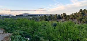 una vista aerea su un campo alberato e montano di Casa Inés a Penáguila