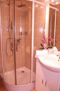 a bathroom with a shower and a sink at Landhotel-Restaurant Schwalbennest in Zierenberg