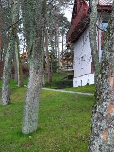 a group of trees next to a white building at Kalno namai - apartamentas Juodkrantėje in Juodkrantė