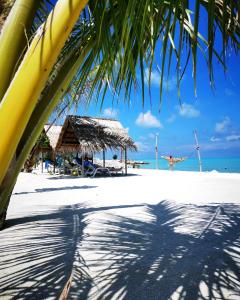 a shadow of a palm tree on a beach at Mirian Sky in Gaafaru