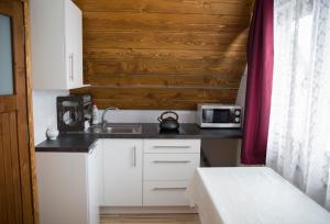 Kuchyňa alebo kuchynka v ubytovaní Apartamenty Harenda 39 + 25 fotografií