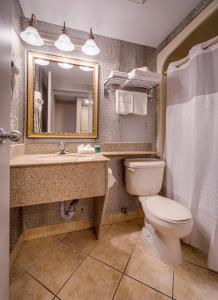 a bathroom with a toilet and a sink and a mirror at Monte Carlo Inn Vaughan Suites in Vaughan