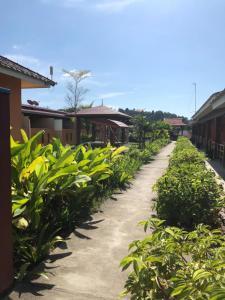 a dirt road lined with green plants next to a building at Chuu Pun Village Resort in Pantai Cenang