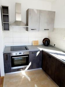 Kuchyň nebo kuchyňský kout v ubytování Apartman Šime