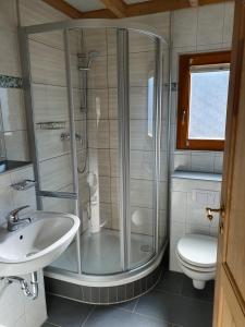 a bathroom with a shower and a sink and a toilet at Ferienhaus "Seelöwe Baabe" in Baabe