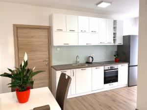 a kitchen with white cabinets and a table with a plant at Apartmani Kažanegra33 in Pržno