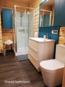 W łazience znajduje się prysznic, toaleta i umywalka. w obiekcie Gøtugjógv Log House w mieście Gøtugjógv