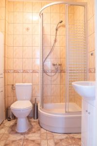 a bathroom with a shower and a toilet and a sink at AL-DOM apartamenty Apartament Oliwia in Kołobrzeg