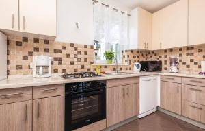 Dapur atau dapur kecil di Apartments Damir with Sea View