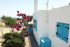 The building in which the holiday home is located
