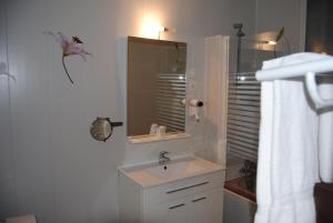 een badkamer met een wastafel en een spiegel bij Hôtel restaurant les Templiers in Montbard