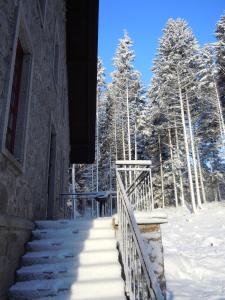 eine Treppe, die zu einem Gebäude im Schnee führt in der Unterkunft Herrenhaus Schluchsee in Schluchsee