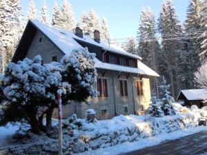 a house covered in snow with a tree at Herrenhaus Schluchsee in Schluchsee