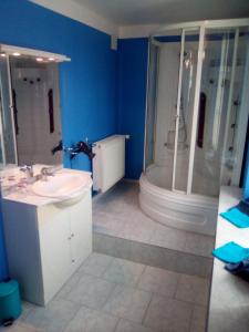a blue bathroom with a sink and a shower at L'octodon in Le Grand-Pressigny
