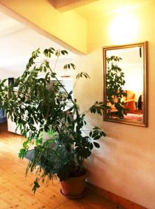 Imagine din galeria proprietății Ferienwohnung Haus Edith in Laufenburg în Laufenburg