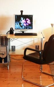 Un televizor și/sau centru de divertisment la Ferienwohnung Haus Edith in Laufenburg