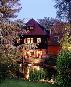 a house with a pond in the yard at Hôtel le Moulin in Gundershoffen