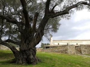 Φωτογραφία από το άλμπουμ του Casa Alice σε Villacidro