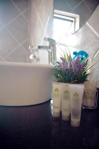 un baño con 2 botellas de jabón y una planta en Green Haven Apartments, en Ezulwini